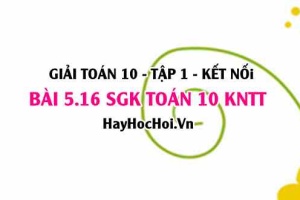 Bài 5.16 SGK Toán 10 tập 1 Kết nối tri thức